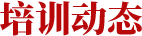 新闻动态