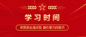 在不断解决大党独有难题中彰显大党优势